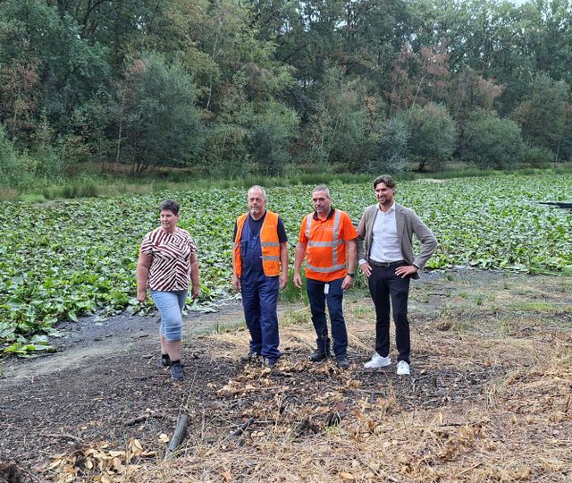 Dankzij de groendienst kan heel Putte weer genieten van de Eendenvijver