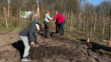 Nationale Boomfeestdag Etten-Leur Groep 8