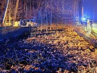 Wilde achtervolging door België en Nederland eindigt in bos bij Putte