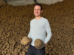 Boer Reinier Stoutjesdijk en zijn berg aan knolselderij.