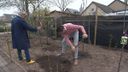 Openbaar plantsoen in Putte wordt fruitpluktuin