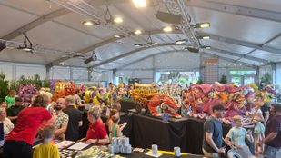 maquette tentoonstelling aardbeienfeesten zundert