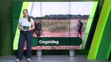 3 augustus – Moerdijk | Etten-Leur | Zundert | Halderberge | Rucphen