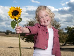 Foto Van Gogh Nationaal Park