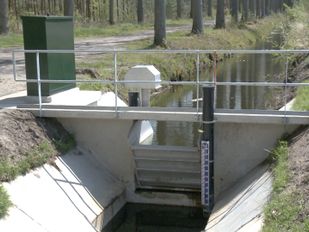 Stuw Nieuwe Dreef in Wouwse Plantage met op achtergrond een volle sloot en op voorgrond de droge sloot