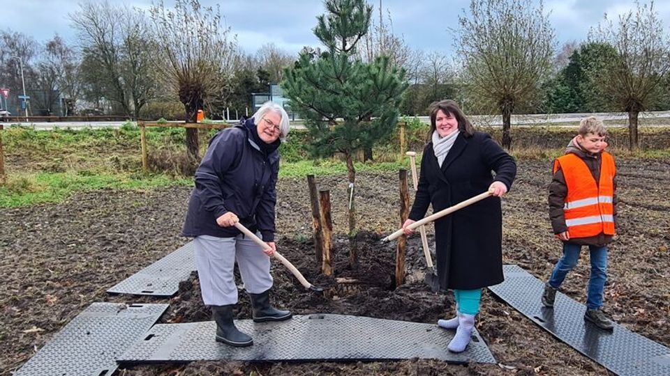 Sanneke Vermeulen en Klaar Koenraad planten bomen in Heerle. Foto: gemeente Roosendaal