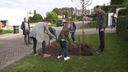 Elf bomen geplant tijdens Boomfeestdag in Woensdrecht