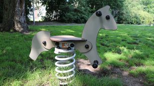 Speeltoestel Roosendaal