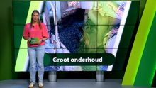 2 juli – Moerdijk | Etten-Leur | Zundert | Halderberge | Rucphen