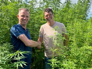 Hennep Marc van der Bol