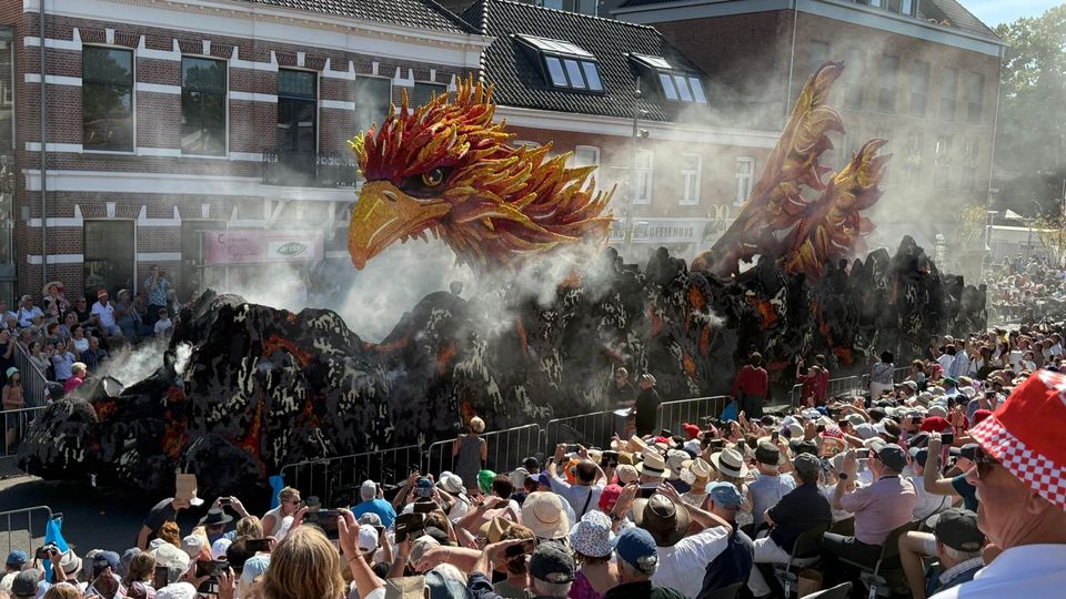 winnaar corso zundert bloemen dahlia buurtschap tiggelaar