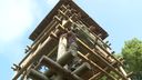 Uitkijktoren Kraaijenberg wordt in ere hersteld