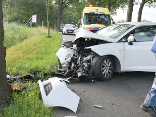 Flinke botsing tegen boom aan de Hoevenseweg in Etten-Leur
