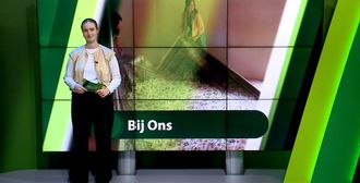 ZuidWest Update - 19 augustus – Roosendaal | Bergen op Zoom | Woensdrecht | Tholen | Steenbergen