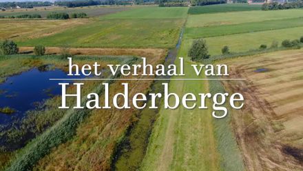 Het verhaal van Halderberge