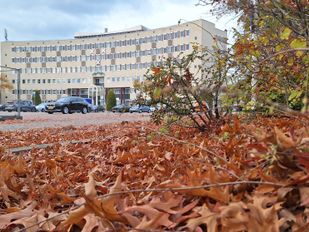 Bergen op Zoom gaat weer investeren in onderhoud van de gemeente: &#8216;Maar discipline op financiën blijft nodig&#8217;