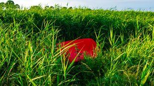 auto in sloot Scherpenisse