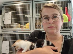 Campagne tegen kattenleed: &#8216;Hoop dat onze boodschap landt in Den Haag&#8217;