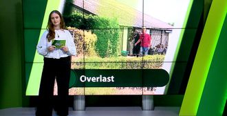 ZuidWest Update Weekoverzicht - 26 juli – West-Brabant
