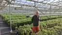 LocalTea opent deuren van Zundertse theeplantage én kondigt vertrek aan: &#8216;Op naar biologische grond&#8217;