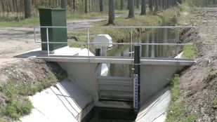 Stuw Nieuwe Dreef in Wouwse Plantage met op achtergrond een volle sloot en op voorgrond de droge sloot