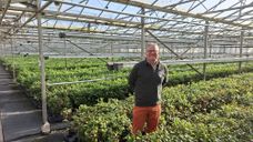 LocalTea opent deuren van Zundertse theeplantage én kondigt vertrek aan: &#8216;Op naar biologische grond&#8217;