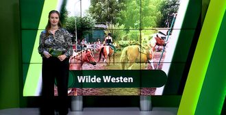 ZuidWest Update - 17 augustus – Roosendaal | Bergen op Zoom | Woensdrecht | Tholen | Steenbergen