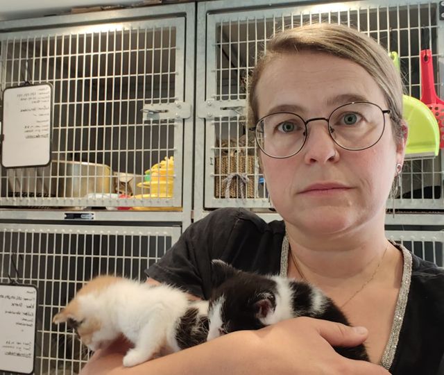 Campagne tegen kattenleed: &#8216;Hoop dat onze boodschap landt in Den Haag&#8217;