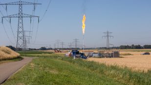 fakkel fakkelactiviteit oud gastel dow nieuws