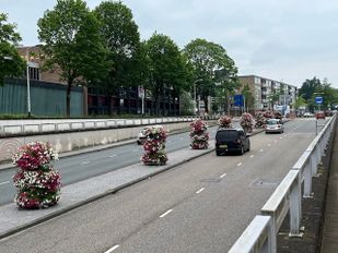 Bloemen bij de toegang tot de stad, in dit geval aan de Burgemeester Freijterslaan.