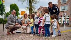 Peutervierdaagse 2025