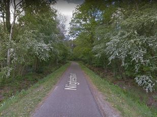 De smalle Nigtestraat in Nispen met aan beide zijde hoge groene en witbloeiende struiken en bomen