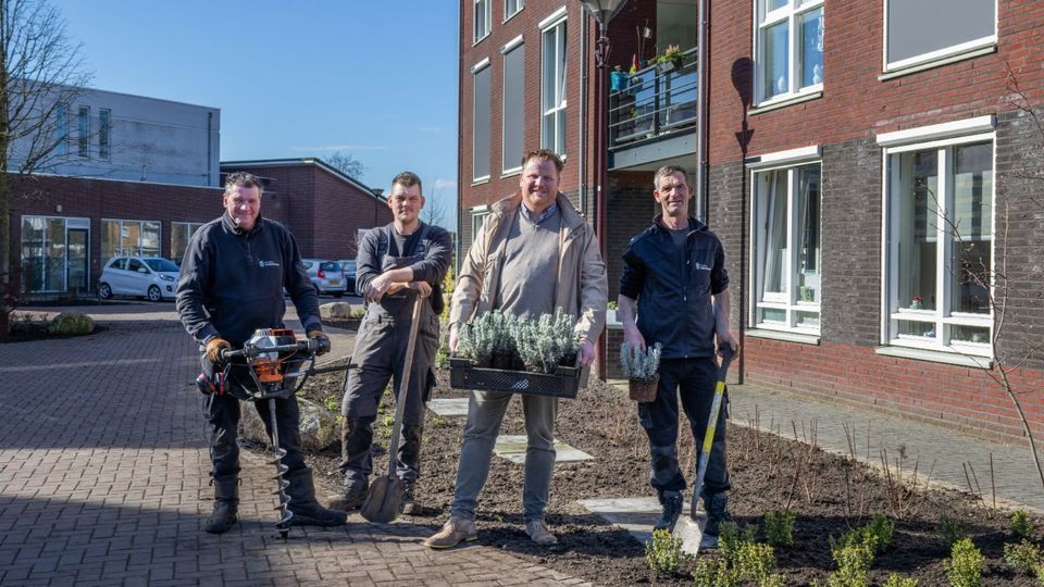 nieuws bosschenhoofd midzomerplein