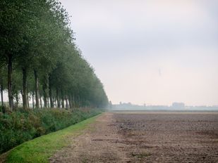 Waterschap onderzoekt gebiedsgerichte aanpak pacht: &#8216;Kijken naar wat wél kan&#8217;