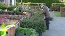&#8216;Mensen geven meer uit aan kerstboom en versiering&#8217;