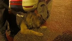 politie moos hond inbreker roosendaal