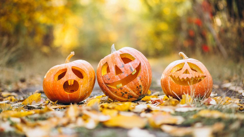 Samenwerking halloweentochten Fijnaart verloopt moeizaam: wijken organiseren eigen tochten