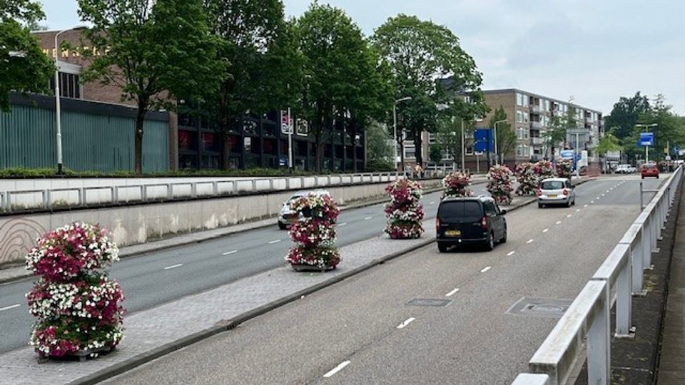 Bloemen bij de toegang tot de stad, in dit geval aan de Burgemeester Freijterslaan.