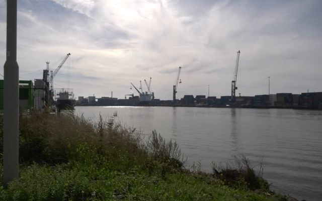 Ruim 3500 bezoekers ontdekken haven van Moerdijk: &#8216;Toch leuk om eens een kijkje te nemen&#8217;