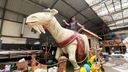 Sanegat hard op zoek naar een Grootste Boer: &#8216;Iedereen wil zelf feesten&#8217;
