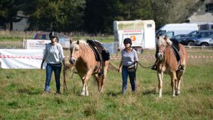 Foto: Jan Krijtenburg/Woensdrecht.nieuws.nl