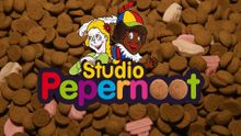 Studio Pepernoot 2017 - Aflevering 6