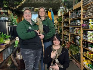 Lost Treasures Hoogerheide