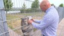 Geen vankantiegangers: lege hokken bij dierenpension Hoevekestijn