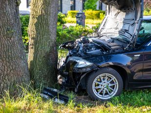 Auto botst tegen boom in Schijf