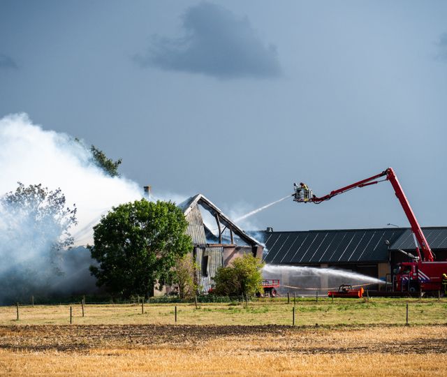 Uitslaande brand in stal in Zevenbergen, vijf stieren niet meer te redden