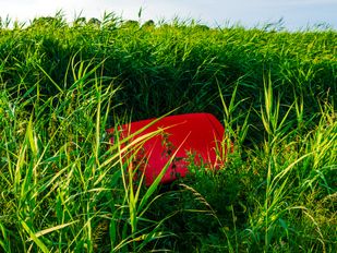 auto in sloot Scherpenisse