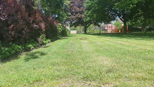 Maaibeleid bermen en sloten