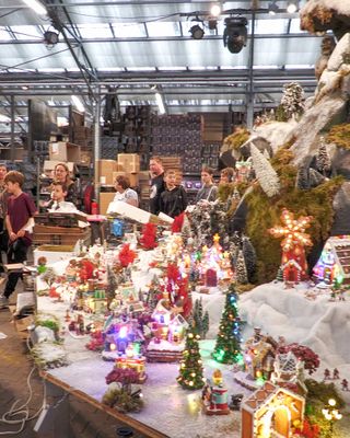 Intratuin Halsteren laat zien wat er schuilgaat achter de kerstshow