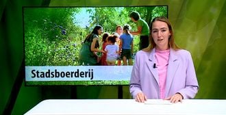 ZuidWest Update - ZuidWest Update – 12 augustus 2025